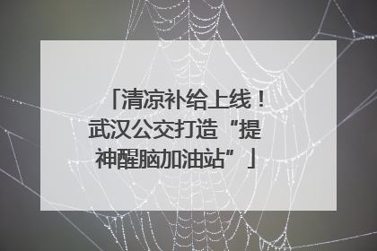 清凉补给上线！武汉公交打造“提神醒脑加油站”
